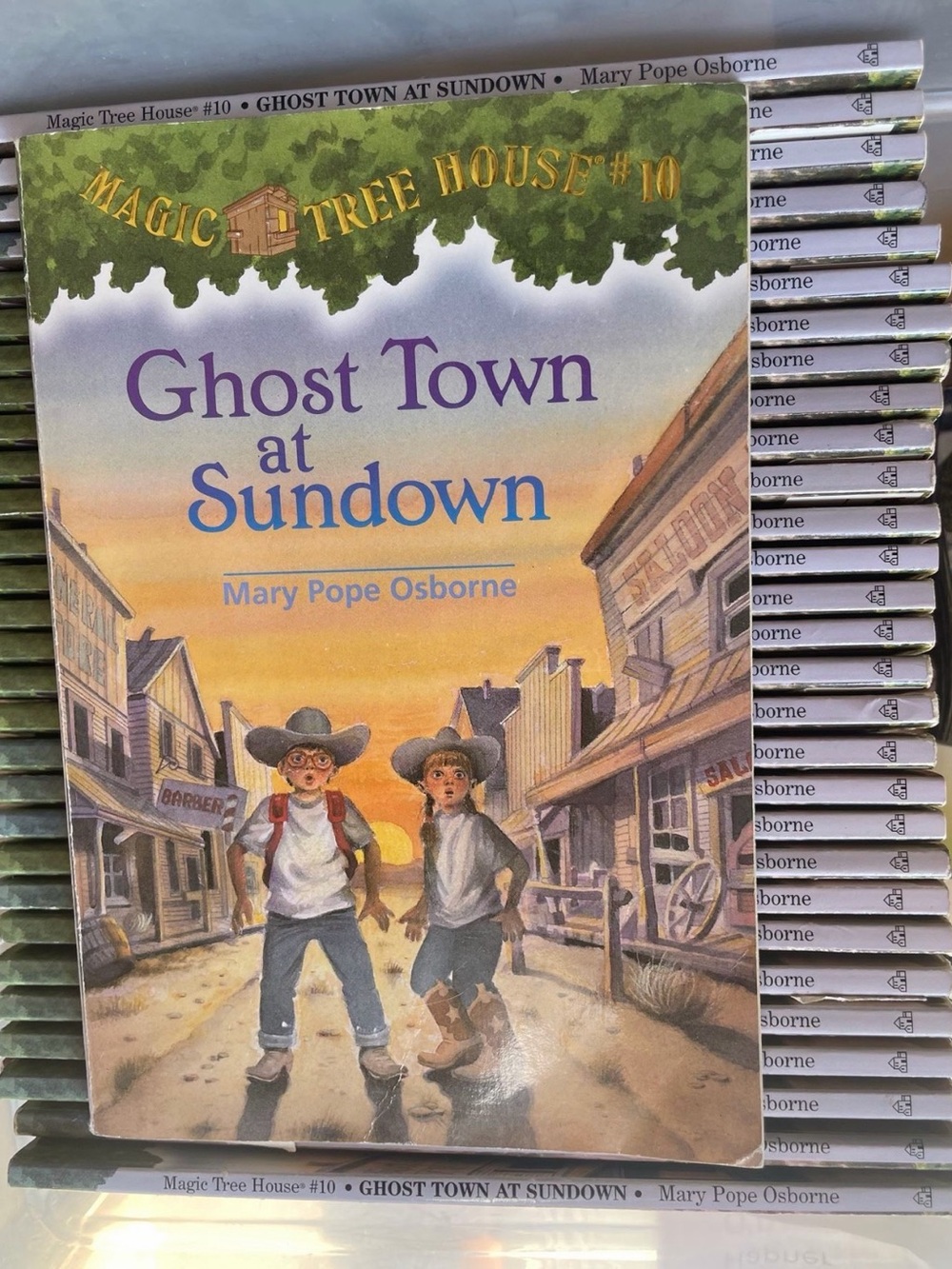 Magic Tree House #10 Ghost Town at Sundown - Purple & Yellow Cover